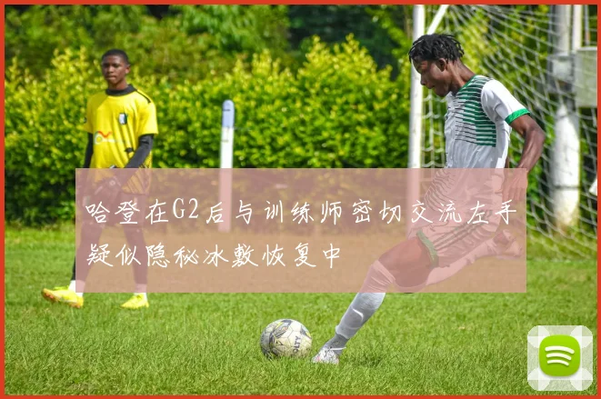 哈登在G2后与训练师密切交流左手疑似隐秘冰敷恢复中